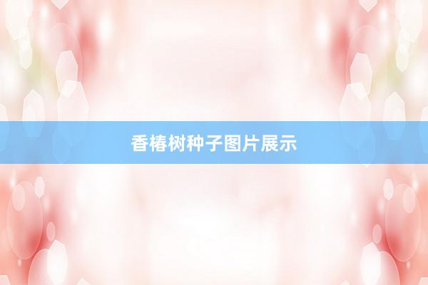 香椿树种子图片展示