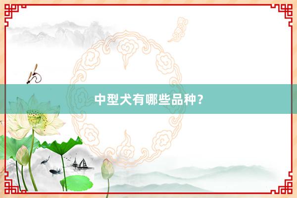 中型犬有哪些品种？