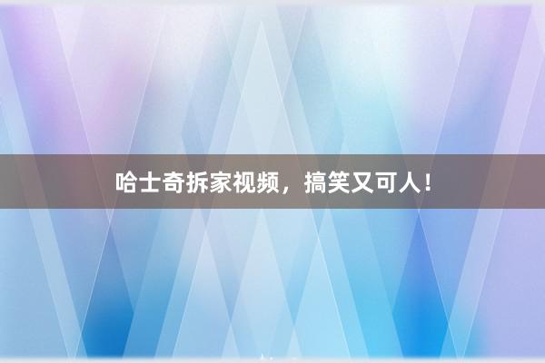 哈士奇拆家视频，搞笑又可人！