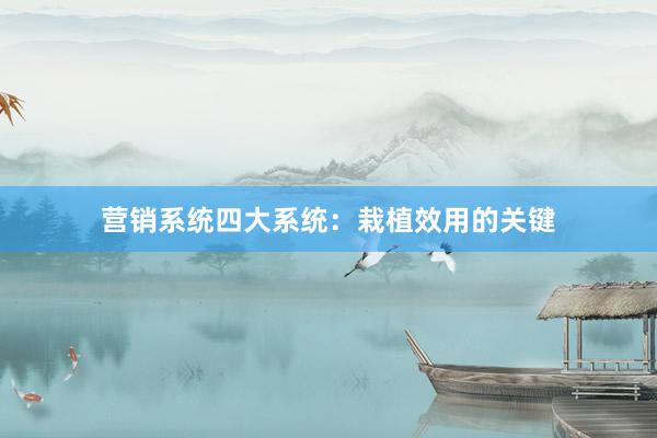 营销系统四大系统：栽植效用的关键